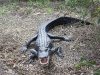 img_0539 img_0539
