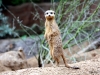 img_2773 img_2773