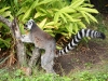 img_2894 img_2894