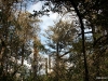 img_3399 img_3399