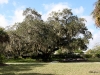 img_3476 img_3476