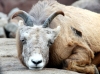 img_3785 img_3785