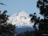 img_4560 img_4560