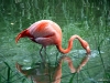img_5096 img_5096
