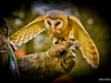 img_8402 img_8402
